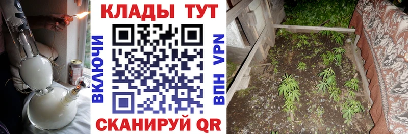 Купить закладку Псилоцибиновые грибы  Каннабис  Амфетамин  Гашиш  Меф  КОКАИН  Заволжье