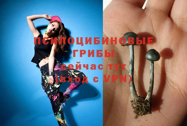 ALPHA-PVP Зеленокумск