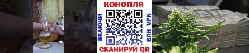 Конопля семена  Купить где  Заволжье 